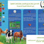 حجر ملحي معزز بالمعادن والفيتامينات والثوم 10 كيلوجرام